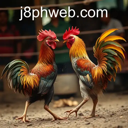 J8.COM PH Login-BONUS6